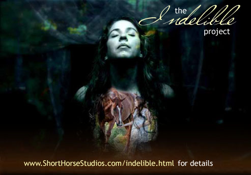 The Indelible Project The Indelible Project